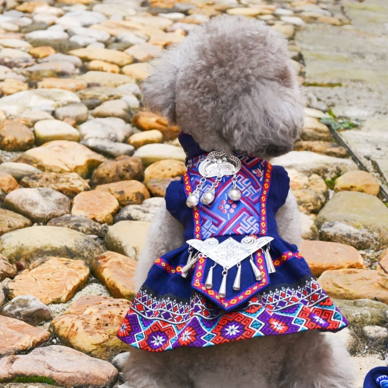 Облекло за домашни любимци в стил принцеса, плат Cocaja, пола за кучета и котки, етно дизайн