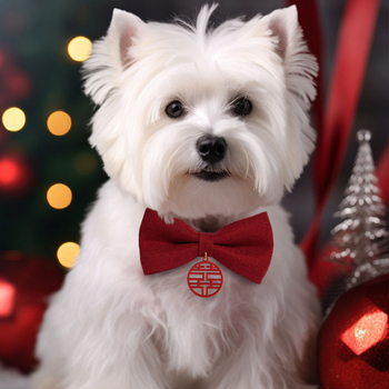 Котешки нашийник с папийонка от мохер – за котки, международен износ, фабрично директен продукт