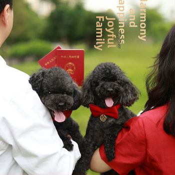 Котешки нашийник с папийонка от мохер – за котки, международен износ, фабрично директен продукт