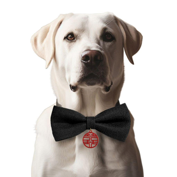 Котешки нашийник с папийонка от мохер – за котки, международен износ, фабрично директен продукт