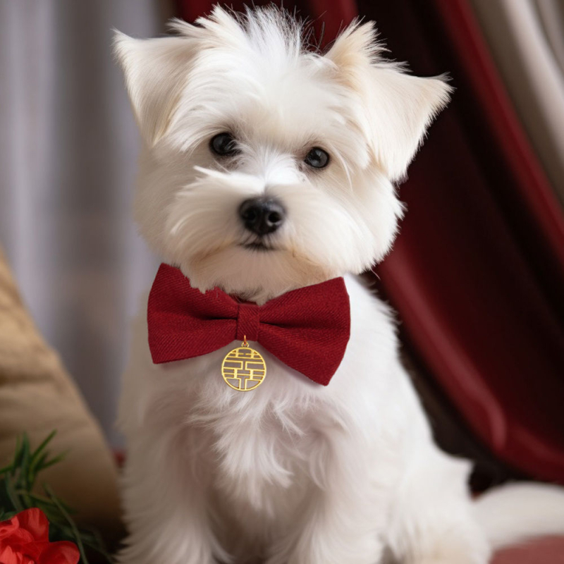 Котешки нашийник с папийонка от мохер – за котки, международен износ, фабрично директен продукт