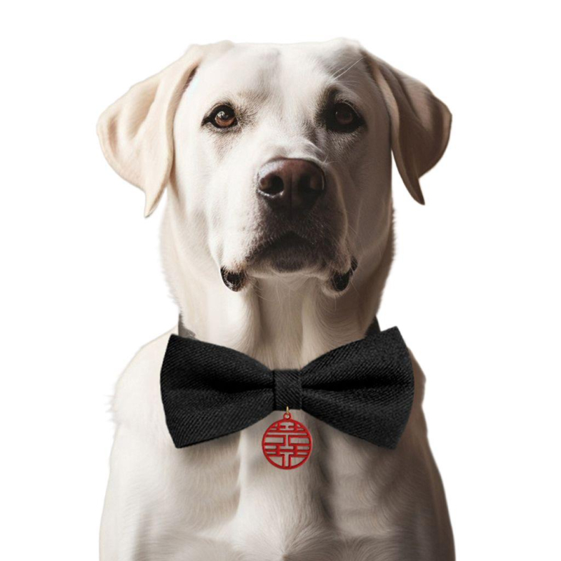 Котешки нашийник с папийонка от мохер – за котки, международен износ, фабрично директен продукт