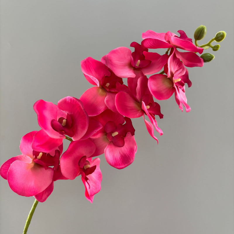 9- glavna umjetna orhideja Phalaenopsis za vjenčanu dekoraciju, injekcijsko oblikovanje, model 19037921829