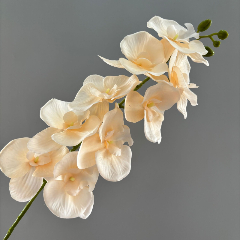 9- glavna umjetna orhideja Phalaenopsis za vjenčanu dekoraciju, injekcijsko oblikovanje, model 19037921829