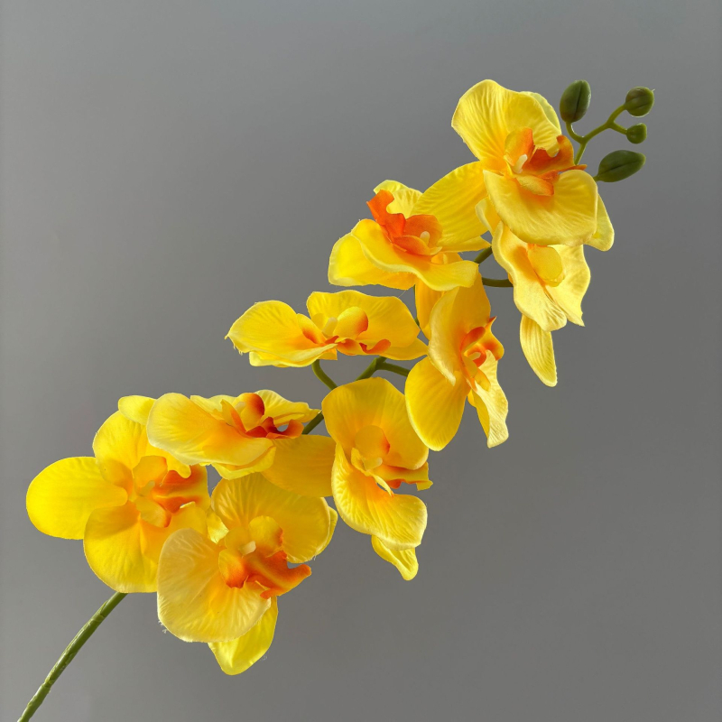 9- glavna umjetna orhideja Phalaenopsis za vjenčanu dekoraciju, injekcijsko oblikovanje, model 19037921829