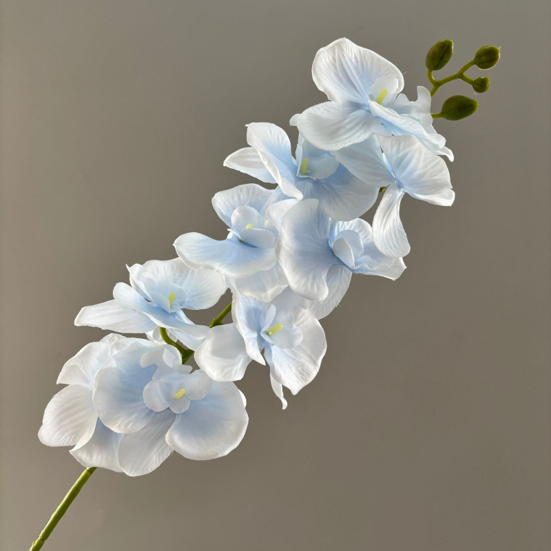 9- glavna umjetna orhideja Phalaenopsis za vjenčanu dekoraciju, injekcijsko oblikovanje, model 19037921829
