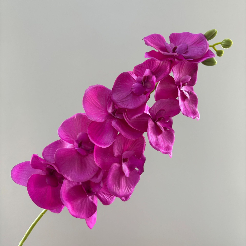 9- glavna umjetna orhideja Phalaenopsis za vjenčanu dekoraciju, injekcijsko oblikovanje, model 19037921829