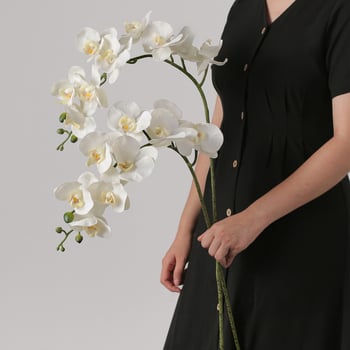 Umjetni buket Phalaenopsis orhideja, 9 glavica, svilenih cvjetova, unutarnja dekoracija, vjenčane rekvizite i rekviziti za fotografiju