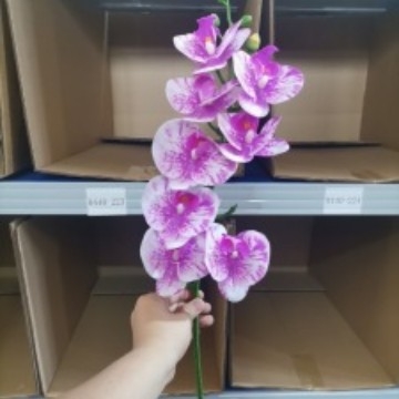 Umjetni buket Phalaenopsis orhideja, 9 glavica, svilenih cvjetova, unutarnja dekoracija, vjenčane rekvizite i rekviziti za fotografiju