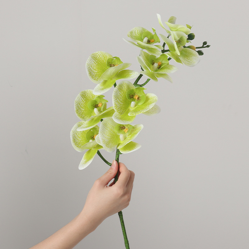 Umjetni buket Phalaenopsis orhideja, 9 glavica, svilenih cvjetova, unutarnja dekoracija, vjenčane rekvizite i rekviziti za fotografiju