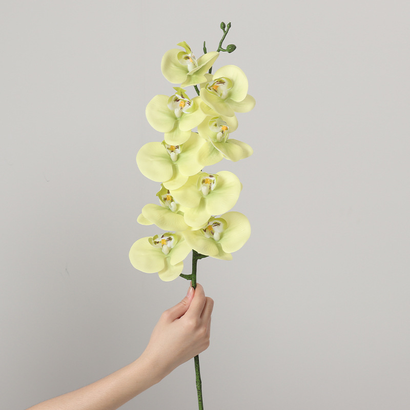 Umjetni buket Phalaenopsis orhideja, 9 glavica, svilenih cvjetova, unutarnja dekoracija, vjenčane rekvizite i rekviziti za fotografiju