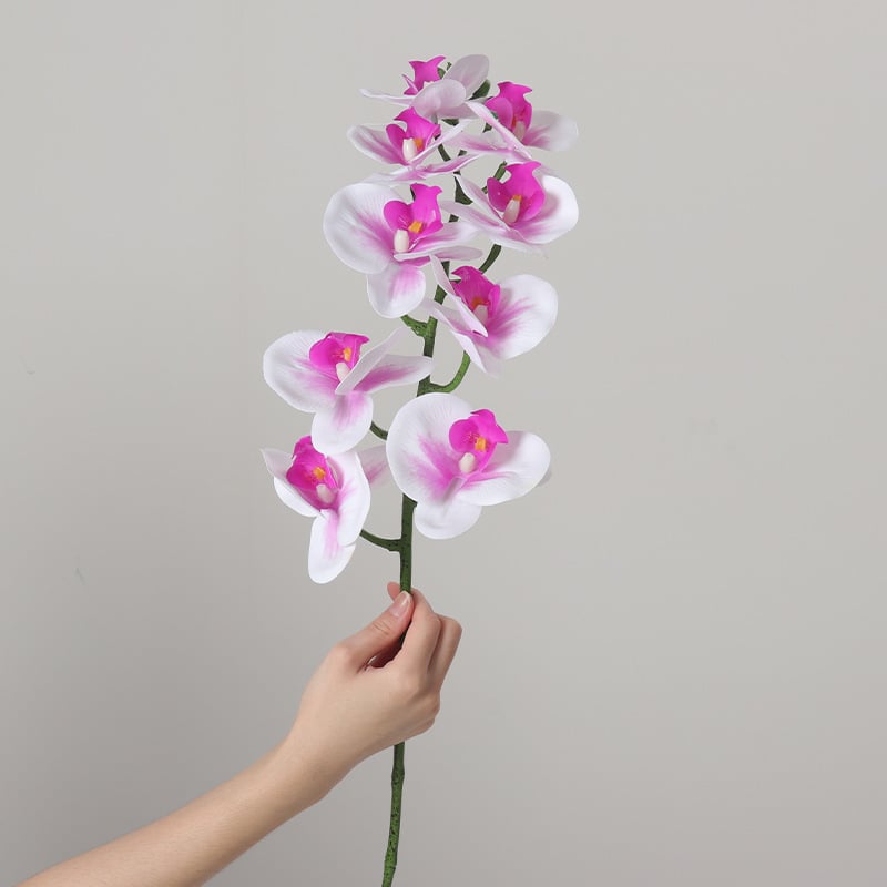 Umjetni buket Phalaenopsis orhideja, 9 glavica, svilenih cvjetova, unutarnja dekoracija, vjenčane rekvizite i rekviziti za fotografiju