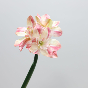 Flori artificiale Amaryllis și Clivia, suprafață PU — Material: Plastic, PU; Procese: vopsire, turnare prin injecție, serigrafie, imprimare 3D; Utilizări: nunți, exterior, recuzita pentru fotografie, decor de casă; Model: 19147829257