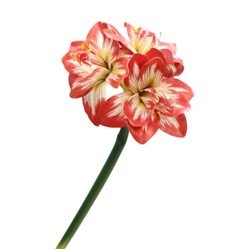 Flori artificiale Amaryllis și Clivia, suprafață PU — Material: Plastic, PU; Procese: vopsire, turnare prin injecție, serigrafie, imprimare 3D; Utilizări: nunți, exterior, recuzita pentru fotografie, decor de casă; Model: 19147829257