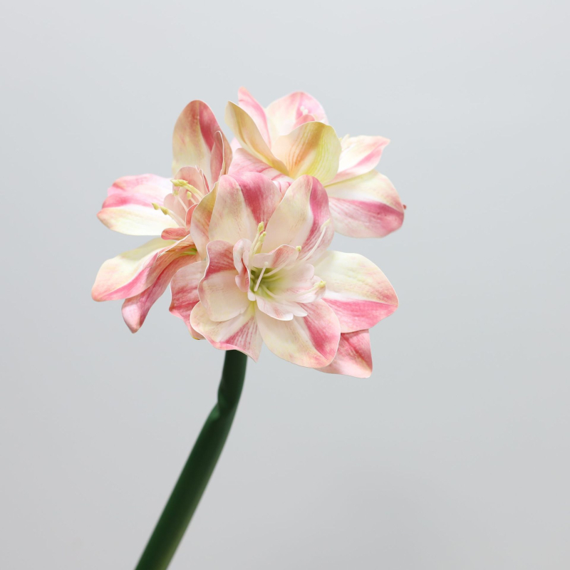Flori artificiale Amaryllis și Clivia, suprafață PU — Material: Plastic, PU; Procese: vopsire, turnare prin injecție, serigrafie, imprimare 3D; Utilizări: nunți, exterior, recuzita pentru fotografie, decor de casă; Model: 19147829257