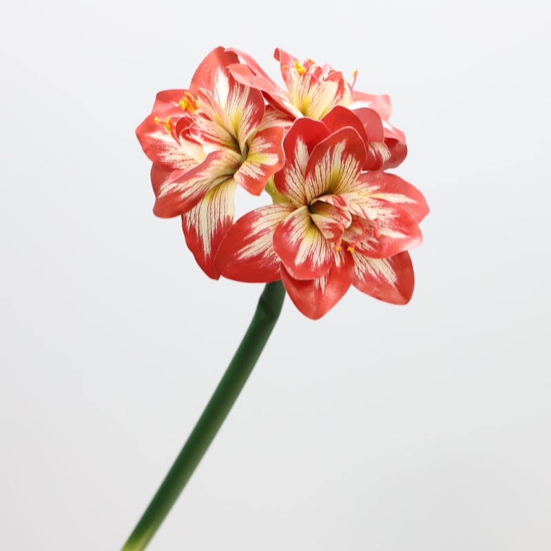 Flori artificiale Amaryllis și Clivia, suprafață PU — Material: Plastic, PU; Procese: vopsire, turnare prin injecție, serigrafie, imprimare 3D; Utilizări: nunți, exterior, recuzita pentru fotografie, decor de casă; Model: 19147829257