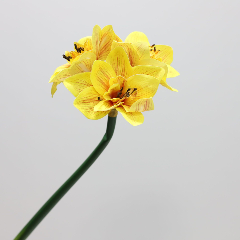 Flori artificiale Amaryllis și Clivia, suprafață PU — Material: Plastic, PU; Procese: vopsire, turnare prin injecție, serigrafie, imprimare 3D; Utilizări: nunți, exterior, recuzita pentru fotografie, decor de casă; Model: 19147829257