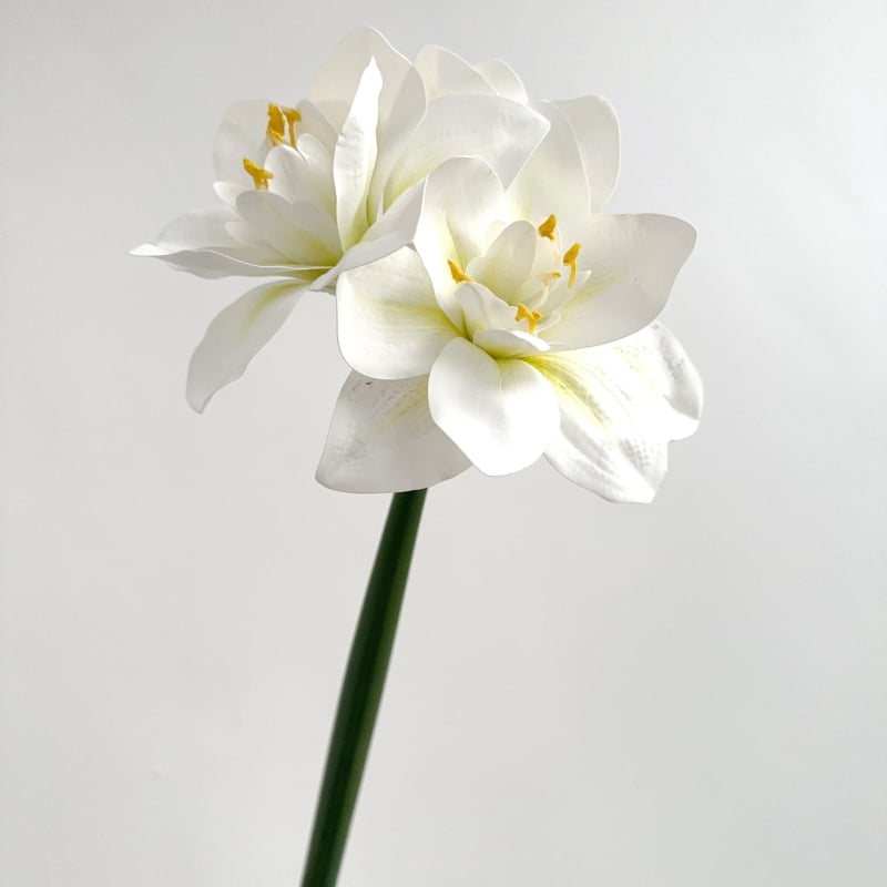 Flori artificiale Amaryllis și Clivia, suprafață PU — Material: Plastic, PU; Procese: vopsire, turnare prin injecție, serigrafie, imprimare 3D; Utilizări: nunți, exterior, recuzita pentru fotografie, decor de casă; Model: 19147829257