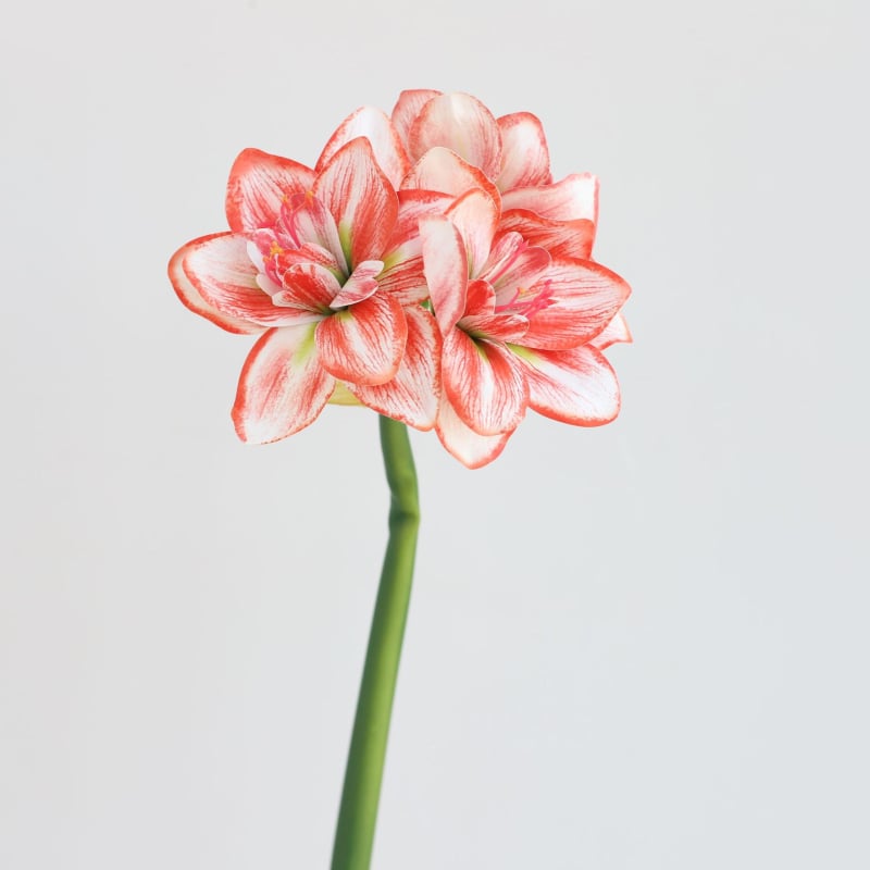 Flori artificiale Amaryllis și Clivia, suprafață PU — Material: Plastic, PU; Procese: vopsire, turnare prin injecție, serigrafie, imprimare 3D; Utilizări: nunți, exterior, recuzita pentru fotografie, decor de casă; Model: 19147829257