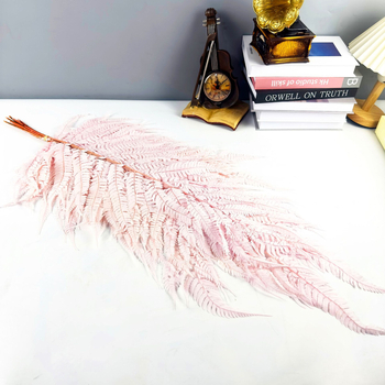 Запазени листа от папрат за DIY цветни аранжировки — асортирани папрати, Money Fern и Snowflake Fern