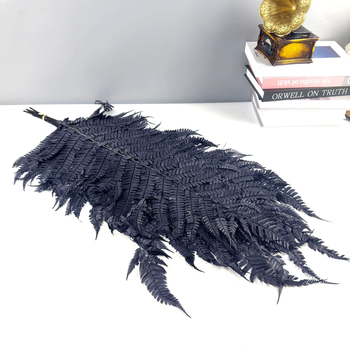 Запазени листа от папрат за DIY цветни аранжировки — асортирани папрати, Money Fern и Snowflake Fern