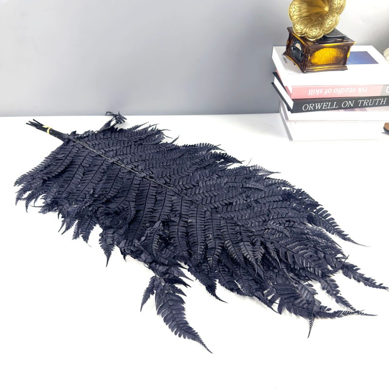 Запазени листа от папрат за DIY цветни аранжировки — асортирани папрати, Money Fern и Snowflake Fern