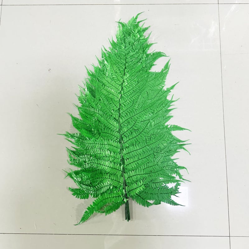 Запазени листа от папрат за DIY цветни аранжировки — асортирани папрати, Money Fern и Snowflake Fern
