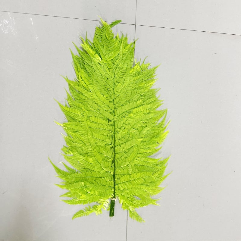 Запазени листа от папрат за DIY цветни аранжировки — асортирани папрати, Money Fern и Snowflake Fern