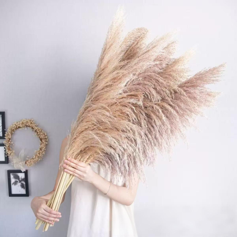 Букет сушени тръстикови цветя, клончета от тръстика, Flower Bella, без боядисване, твърдо опакован