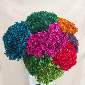 Анна хортензия – запазени цветя, сушени цветя на клонка, боядисани за букет