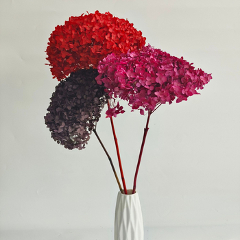 Анна хортензия – запазени цветя, сушени цветя на клонка, боядисани за букет