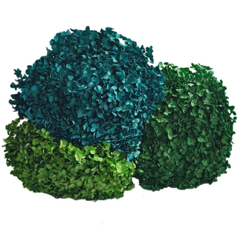 Анна хортензия – запазени цветя, сушени цветя на клонка, боядисани за букет