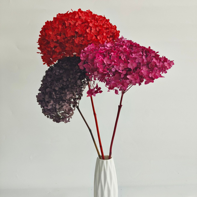 Анна хортензия – запазени цветя, сушени цветя на клонка, боядисани за букет