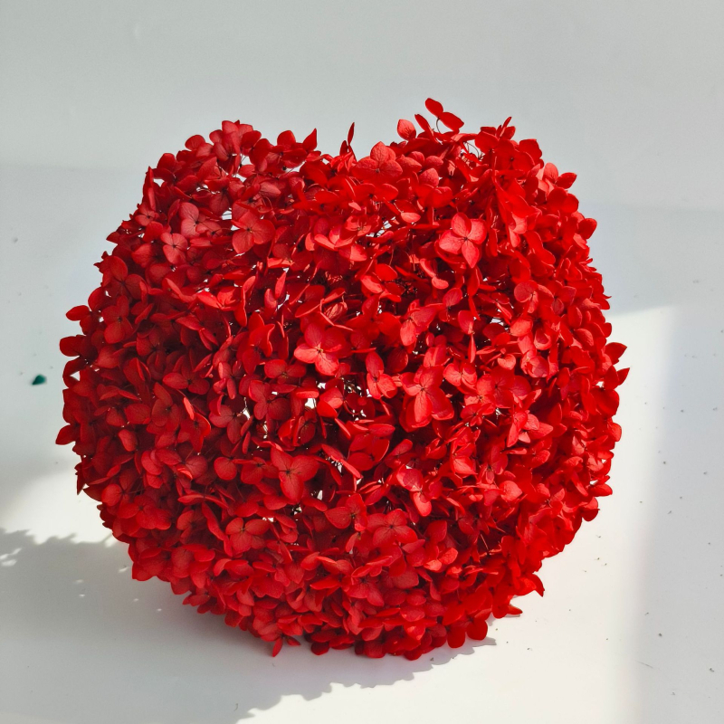 Анна хортензия – запазени цветя, сушени цветя на клонка, боядисани за букет