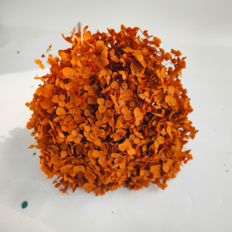 Анна хортензия – запазени цветя, сушени цветя на клонка, боядисани за букет