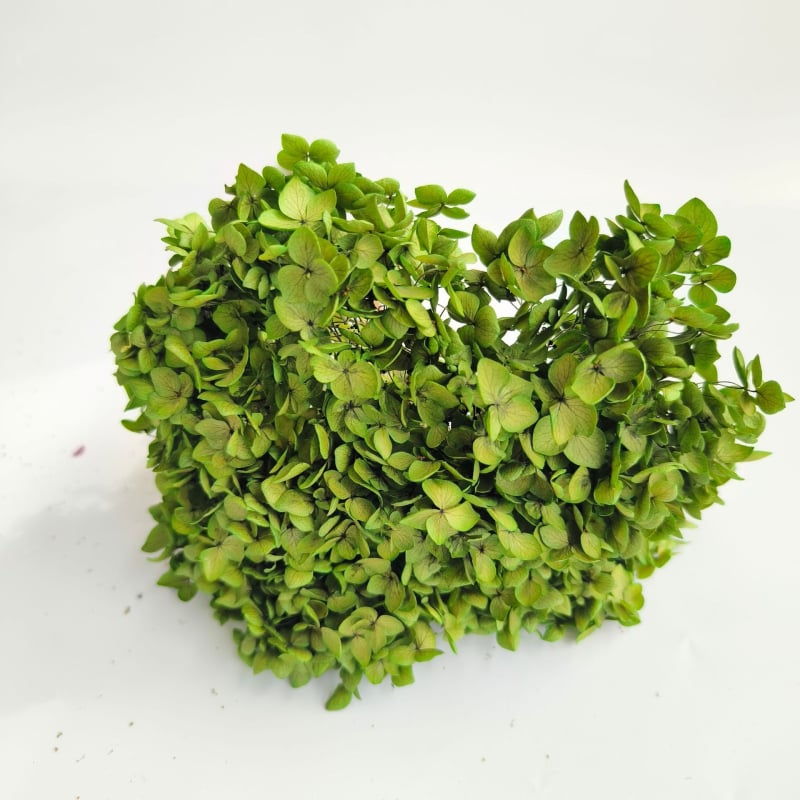 Анна хортензия – запазени цветя, сушени цветя на клонка, боядисани за букет