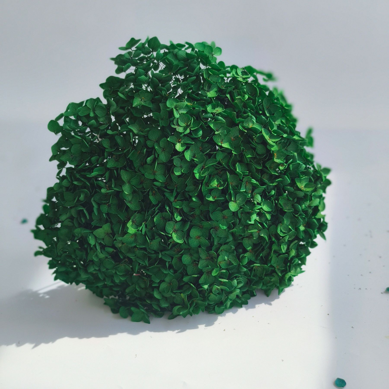 Анна хортензия – запазени цветя, сушени цветя на клонка, боядисани за букет