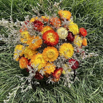 Букет сушени цветя: микс хризантеми и слънчогледи (Материал: сушени и запазени цветя; Опаковка: OPP пакет; Марка: Hua Xi Shi; Код на продукта: Small Star Flower)
