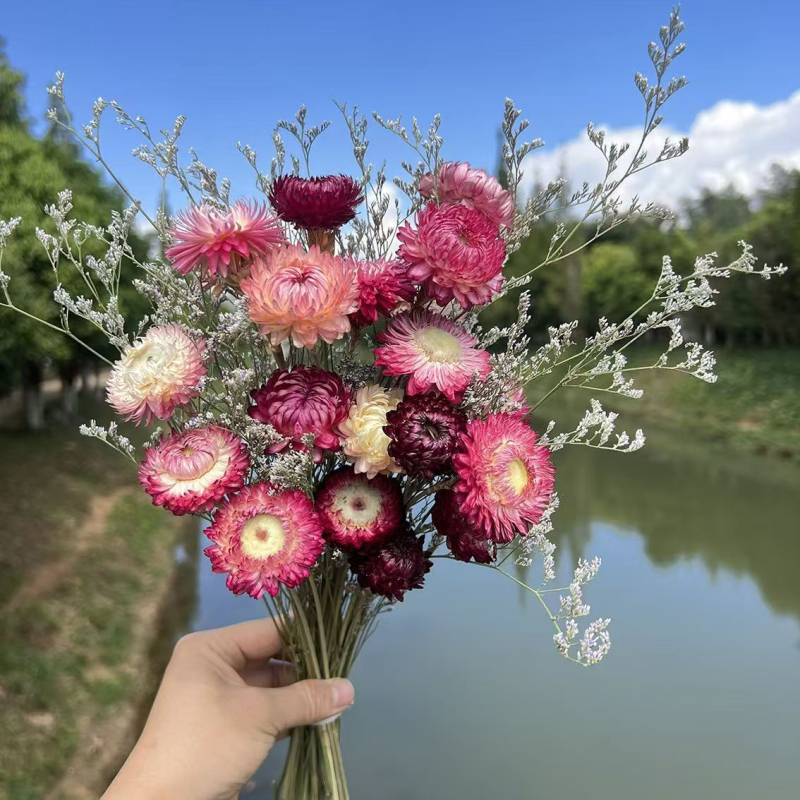 Букет сушени цветя: микс хризантеми и слънчогледи (Материал: сушени и запазени цветя; Опаковка: OPP пакет; Марка: Hua Xi Shi; Код на продукта: Small Star Flower)