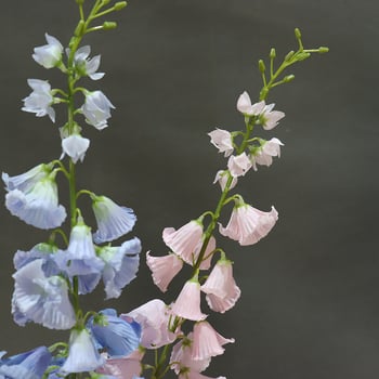 Floare artificial Lily of the Valley, ramură înaltă în stil franțuzesc, decor pentru sala de nunți (Material: Plastic; Proces: Altul; Utilizare: Nuntă, Exterior, Recuzită pentru fotografie)