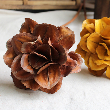 Paeonia száraz virágok csokorhoz, festetlen