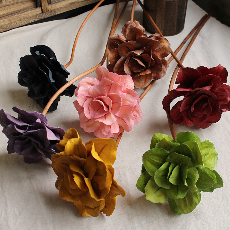 Paeonia száraz virágok csokorhoz, festetlen