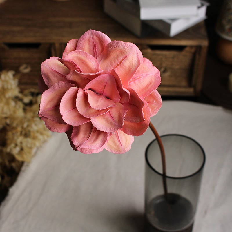 Paeonia száraz virágok csokorhoz, festetlen