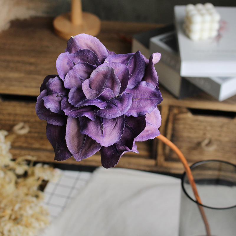 Paeonia száraz virágok csokorhoz, festetlen