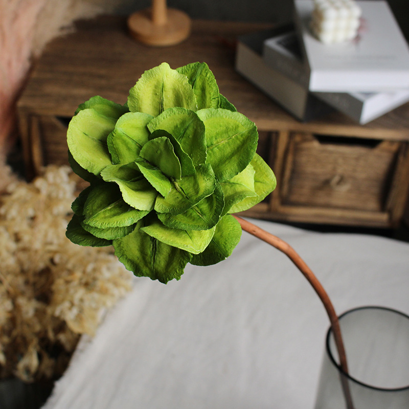 Paeonia száraz virágok csokorhoz, festetlen