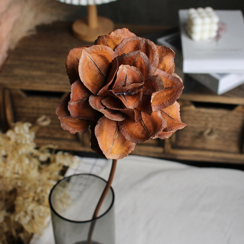 Paeonia száraz virágok csokorhoz, festetlen