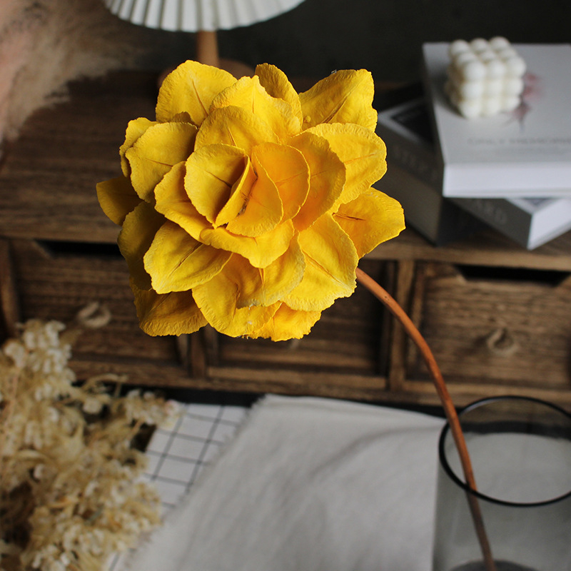 Paeonia száraz virágok csokorhoz, festetlen