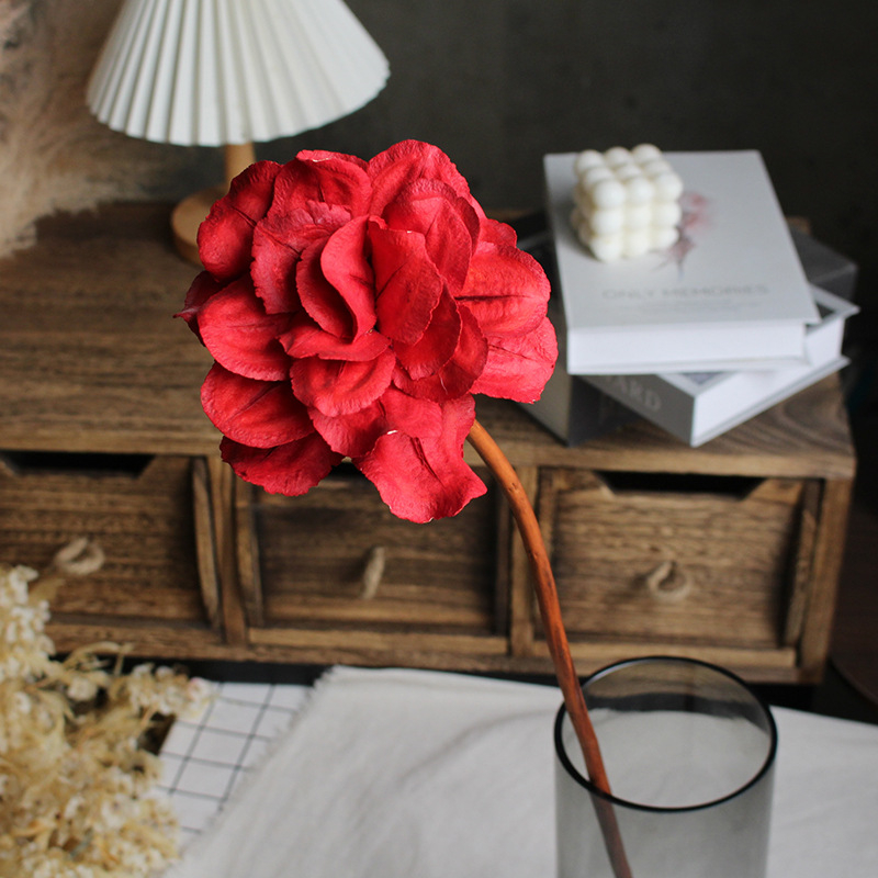 Paeonia száraz virágok csokorhoz, festetlen