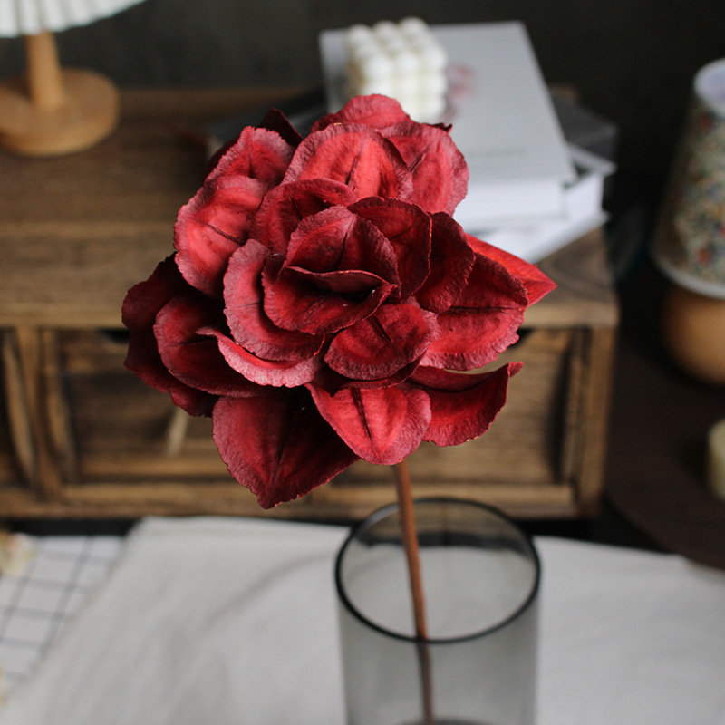 Paeonia száraz virágok csokorhoz, festetlen