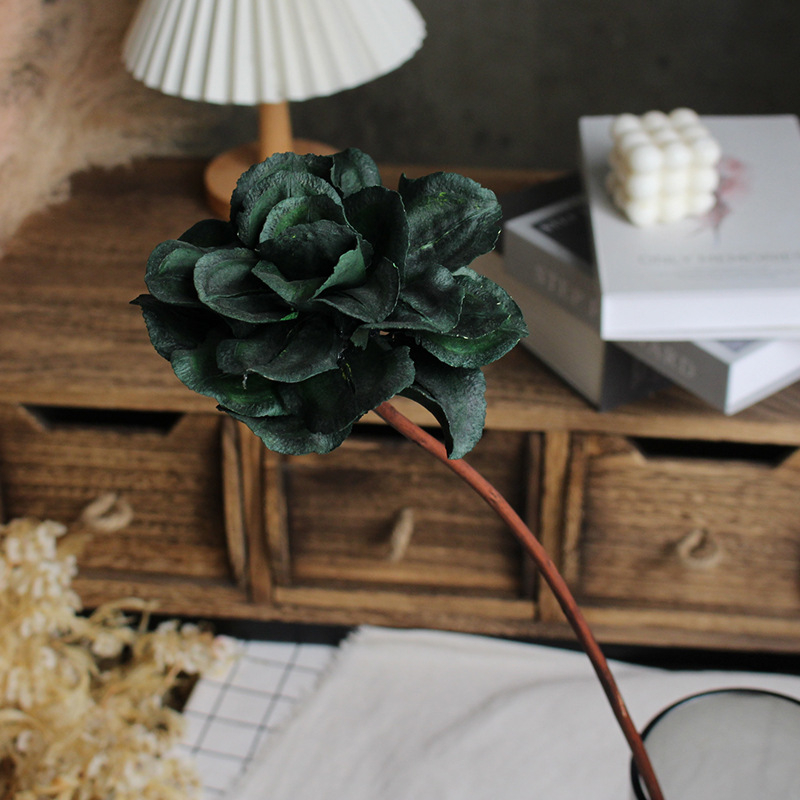 Paeonia száraz virágok csokorhoz, festetlen